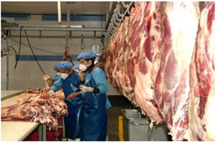 کدام استان رتبه نخست تولید گوشت قرمز در کشور را دارد؟