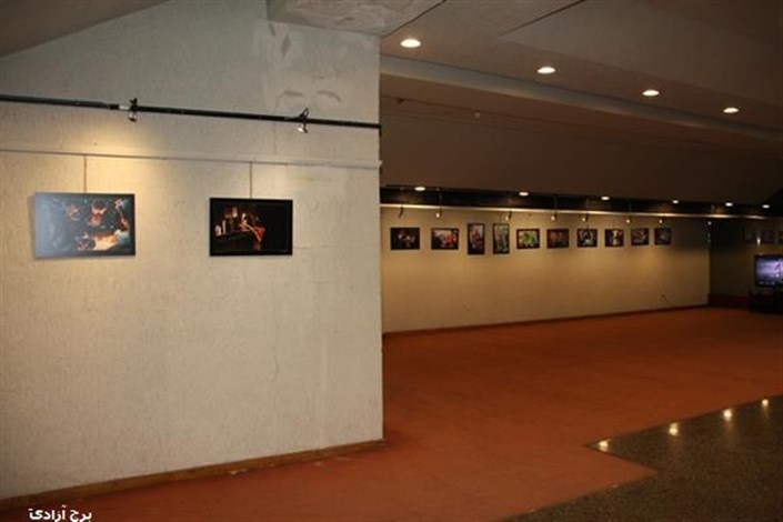  نمایشگاه «ویولت» در برج آزادی برگزار می شود