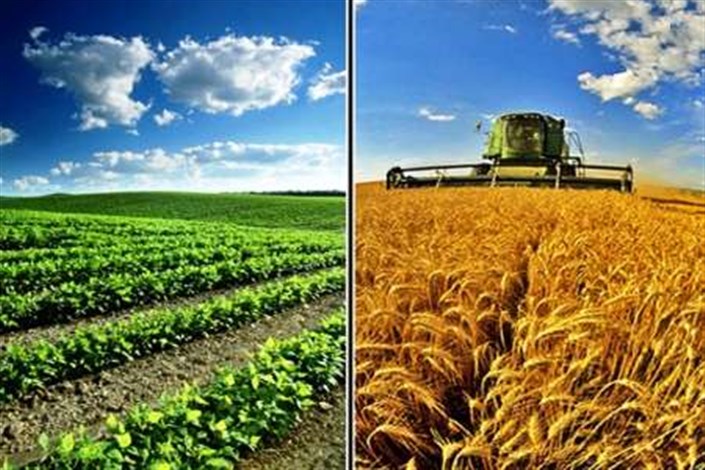  لزوم بکارگیری فناوری های نوین و هوشمندسازی کشاورزی برای افزایش بهره وری تولید/مدیریت آنلاین کشاورزی در دستور کار دو وزارتخانه