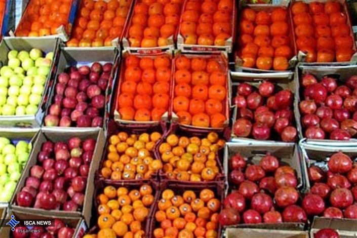  جولان پرتقال‌های رنگی در بازار میوه / گوجه فرنگی گران شد