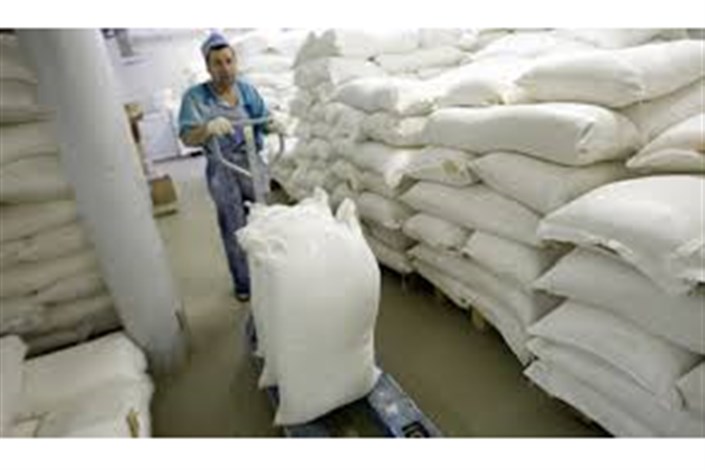صادرات آرد گندم مازندران به عراق 