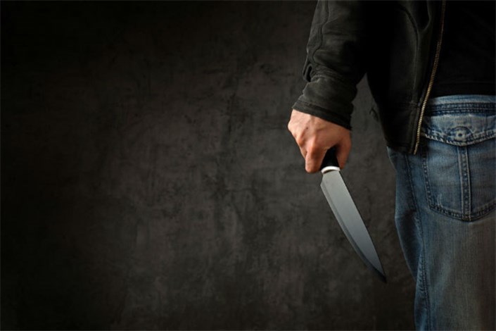  دو نفر با چاقو به مرکز خریدی در آمریکا حمله کردند