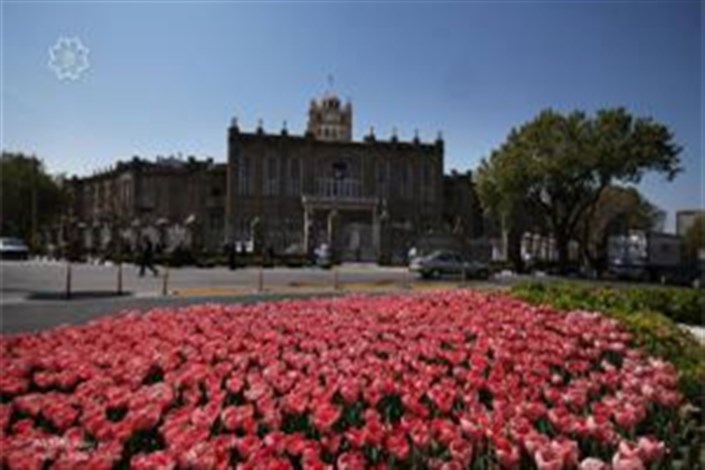 شایعات خرید میلیاردی گل لاله در تبریز صحت ندارد
