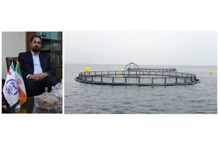 تجاری سازی 10 مجموعه تور پرورش ماهی در قفس توسط جهاددانشگاهی واحد دانشگاه صنعتی امیرکبیر 