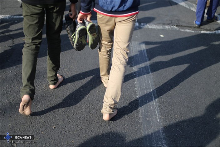 زائران پیاده حضرت رضا علیه السلام در جاده های منتهی به مشهد/عکس