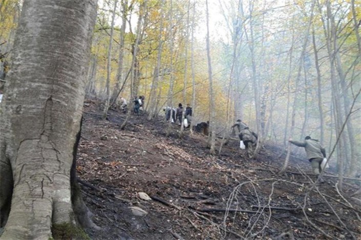 ۱۸۰ هکتار از جنگل‌های گلستان در آتش سوخت