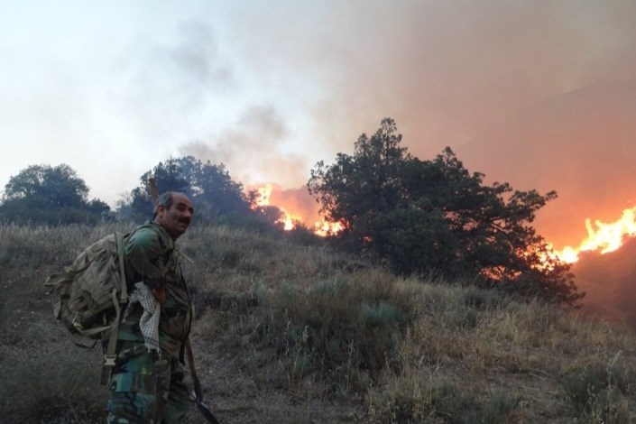  جزییات آتش‌سوزی پارک ملی گلستان و میزان خسارتهای وارده