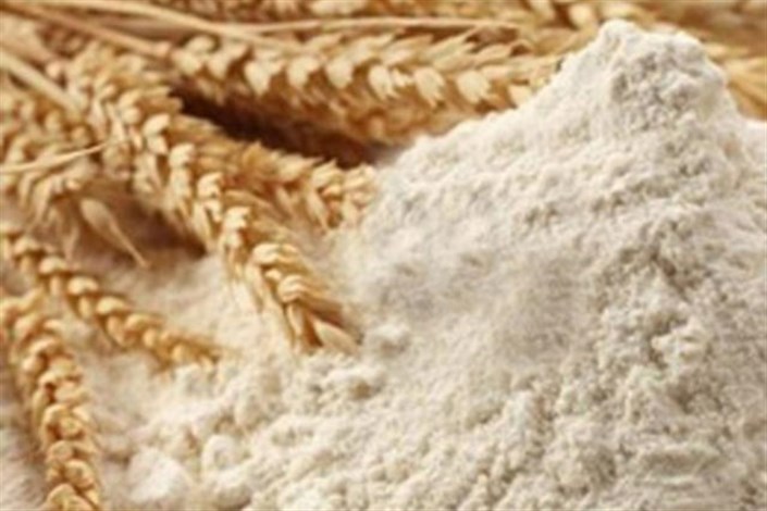 تولید خمیرترش بومی به‌منظور ارتقای کیفیت نان 