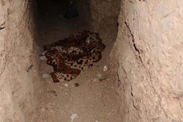 پنهان شدن اعضای داعش در تونل های زیرزمینی