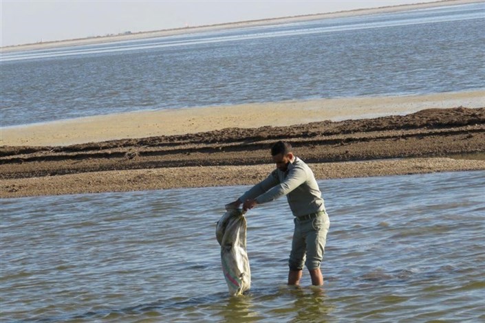 گلایه‌های فرمانده یگان محیط زیست خوزستان از کمبود امکانات