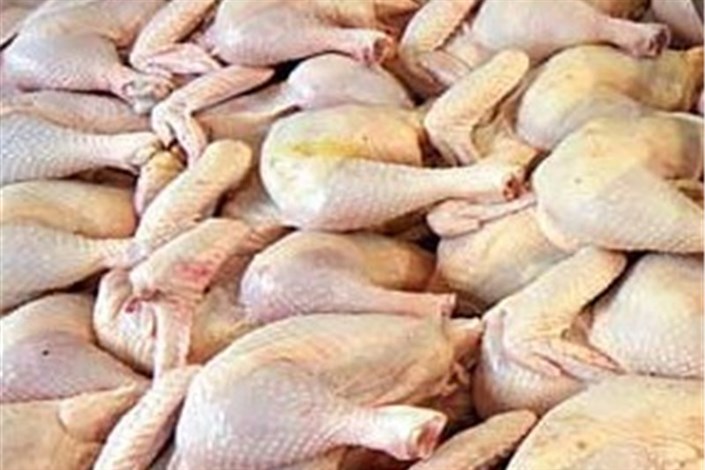 مشکلی برای تامین گوشت مرغ در کشور وجود ندارد 