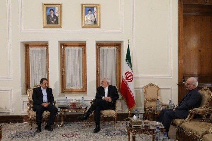 دبیرکل سازمان کشورهای در حال توسعه با ظریف دیدار و گفتگو کرد
