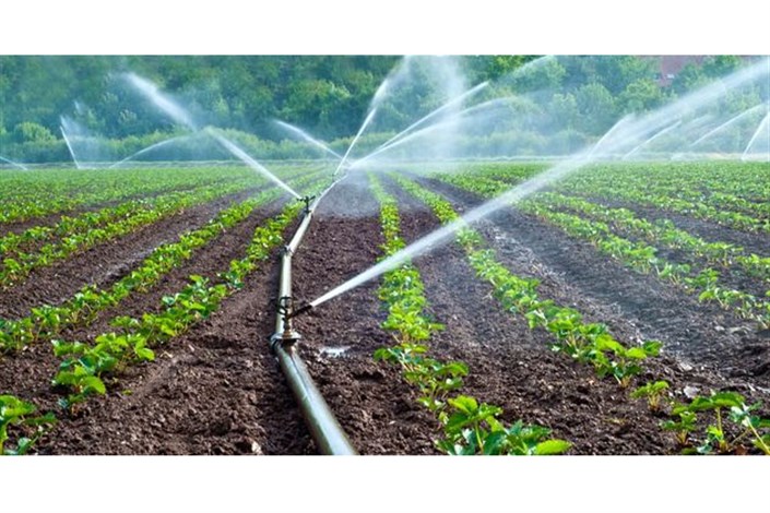 آبیاری 3 میلیون هکتار از اراضی کشاورزی با شبکه‌های آبیاری مدرن در دستور کار وزارت نیرو