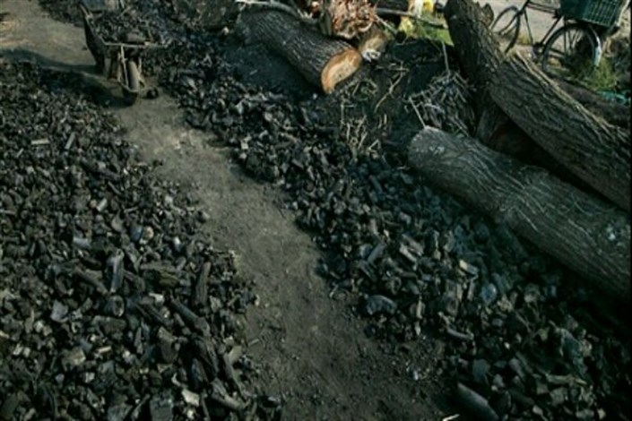 کشف ۵۱ کیسه ذغال قاچاق در شهرستان چرداول