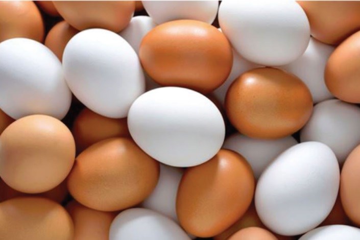 تخم‌مرغ دانه‌ای ۴۲۰ تومان/ گرانفروشی را به ۱۲۴ اعلام کنید