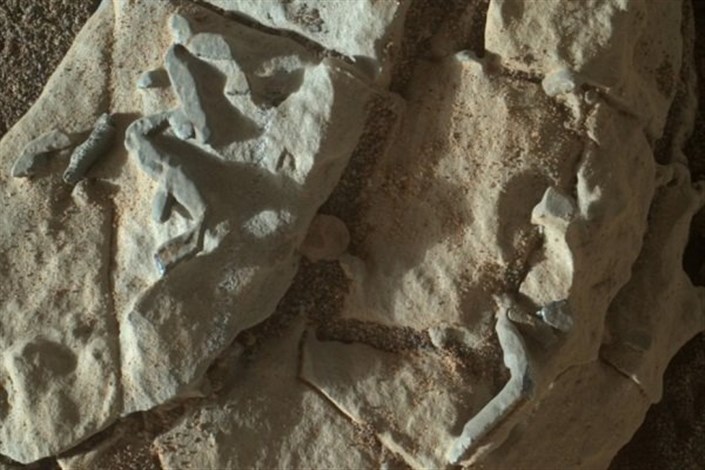 نشانه های جدیدی از حیات در کره مریخ کشف شد