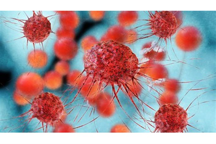 کشف گیاه دارویی برای درمان سلول های سرطانی