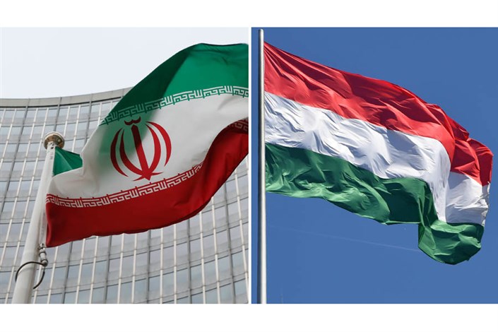 توسعه همکاری های ایران و مجارستان در حوزه سلامت