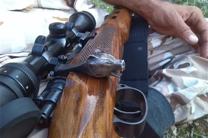  شکارچیان  غیرمجاز در فیروزکوه دستگیر شدند
