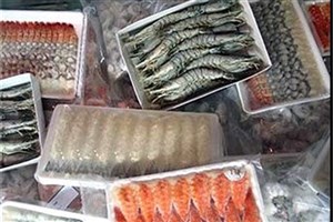 بهبود رشد ماهی قزل‌آلا با تولید مکمل‌های خوراکی پژوهشگران واحد علوم‌وتحقیقات