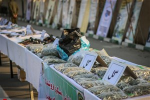 مصرف مواد روان‌گردان مانع مجازات اغتشاشگران می‌شود؟