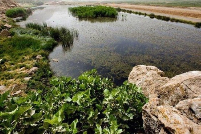 خشکی تالاب "هشیلان" در زمستان طی 50 سال اخیر سابقه نداشته است