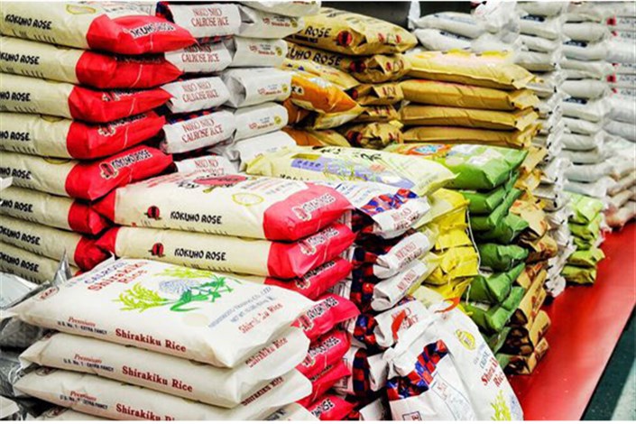 برنج سومین کالای عمده وارداتی شد/ افزایش 85 درصدی واردات برنج در سال جاری + سند