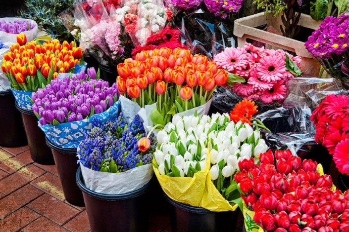  قیمت انواع گل در بازار تهران + جدول