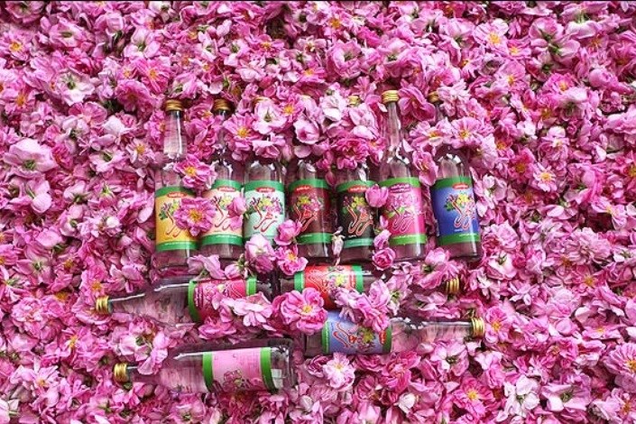 صادرات گلاب ایرانی به فرانسه و انگلیس / ارزآوری 7 میلیون دلاری گلاب گل‌محمدی