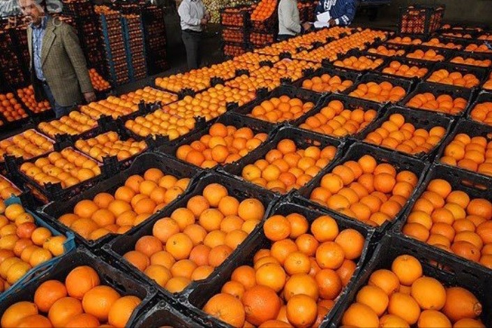  میوه‌های دولتی برای عید عرضه شد + قیمت