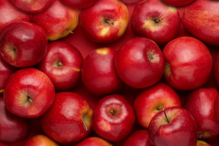 رکود صادرات سیب شکسته شد/۵۳۵ هزار تن صادرات داشتیم