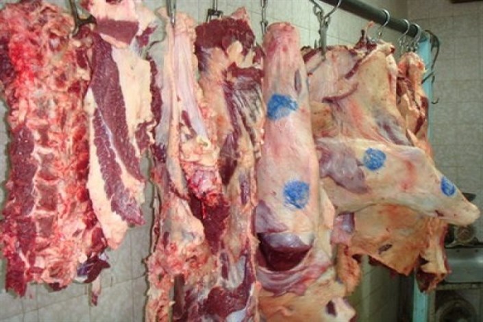 گوشت وارداتی کیلویی ۳۳ هزار تومان/ افزایش قیمت گوشت گاوی برای ماه رمضان نداریم
