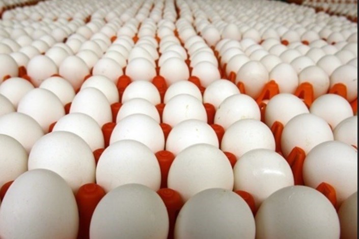 4300  کیلوگرم  تخم مرغ فاسد در آستارا کشف شد