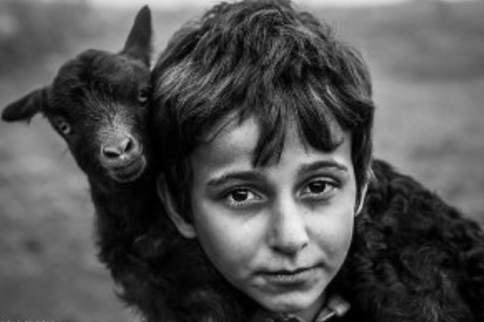 تقدیر از عکاسان ایرانی در جشنواره عکس مونته‎نگرو