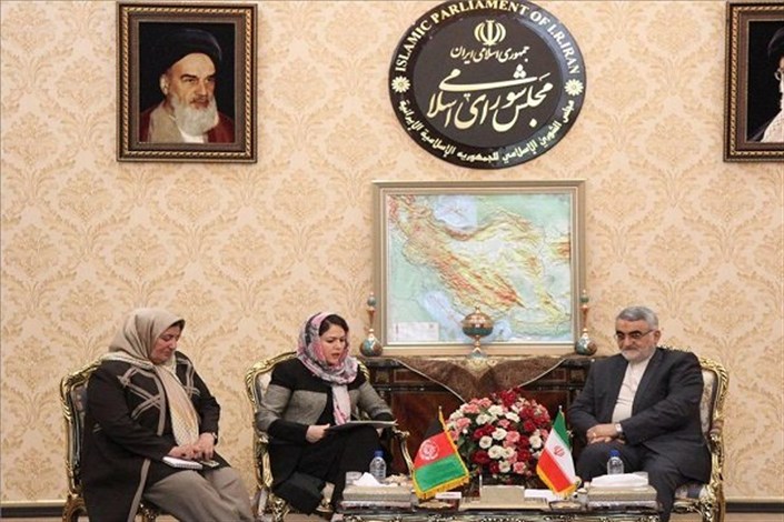 رئیس کمیسیون جامعه مدنی افغانستان با بروجردی دیدار کرد