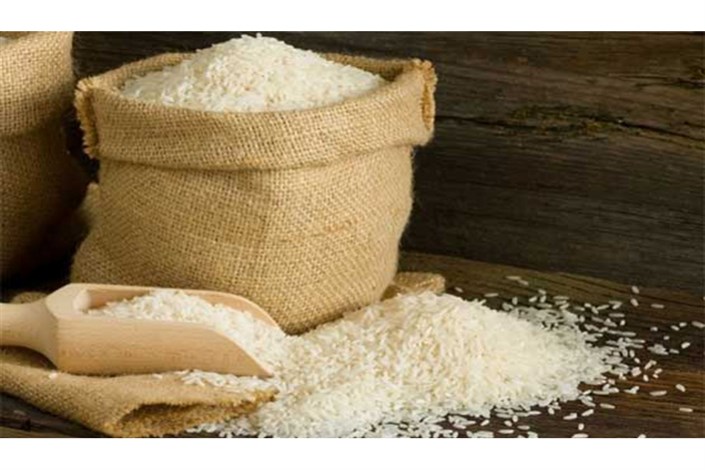 مجوز واردات برنج صادر شد+سند
