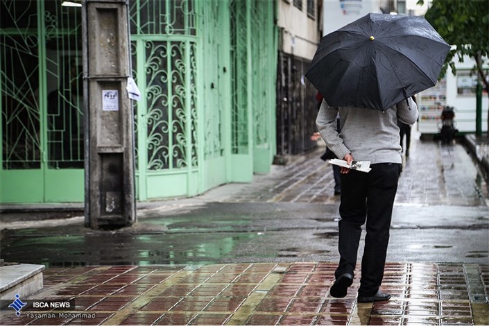 هوای  تهران با بارش باران بهار، بهاری می شود