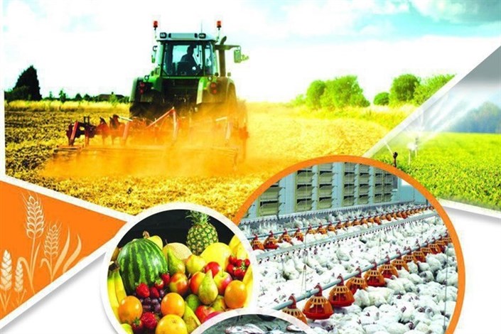 بهره گیری از بورس کالا در راستای رونق اقتصاد کشاورزی