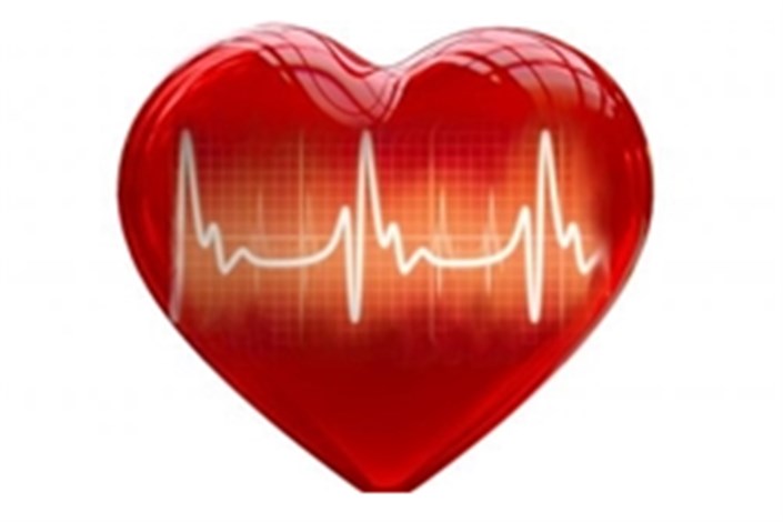 تشخیص بیماری های قلبی با مکان یابی دریچه های قلب