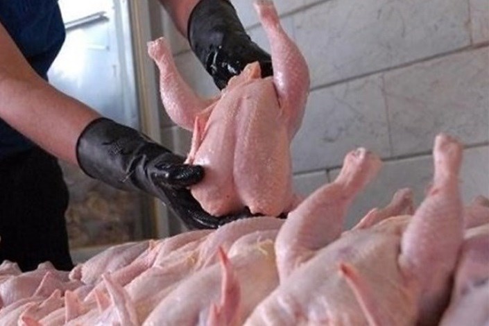 7000 کیلو مرغ کشف شده در تهران به قیمت مصوب توزیع شد