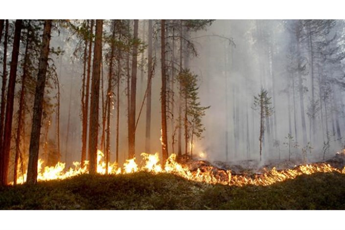 ناتوانی سوئد در کنترل آتش سوزی جنگل