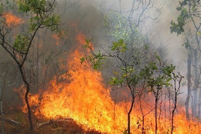 آتش به جان  مزارع کشاورزی  و باغ های  سربیشه  افتاد