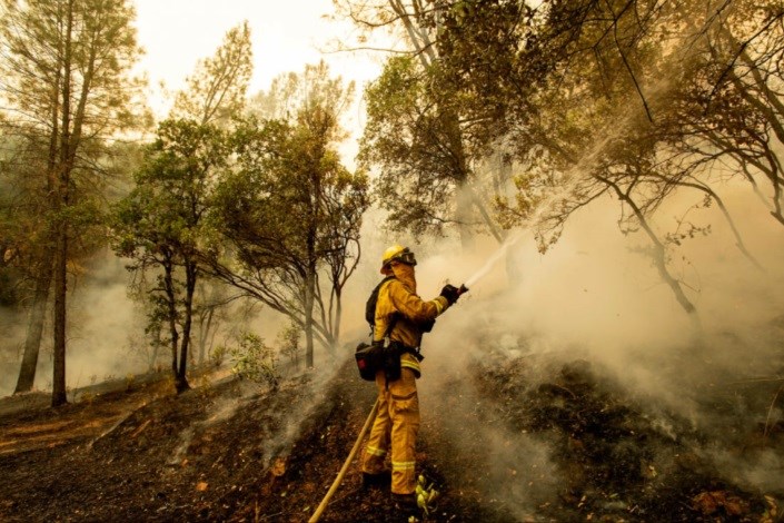 نابودی طبیعت کالیفرنیا در آتش
