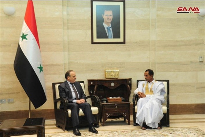دیدار نخست وزیر سوریه و هیاتی از موریتانی 