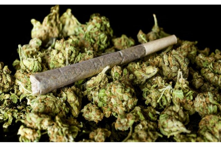   مصرف ماری‌جوآنا در دانشگاه‌های کانادا قانونی شد