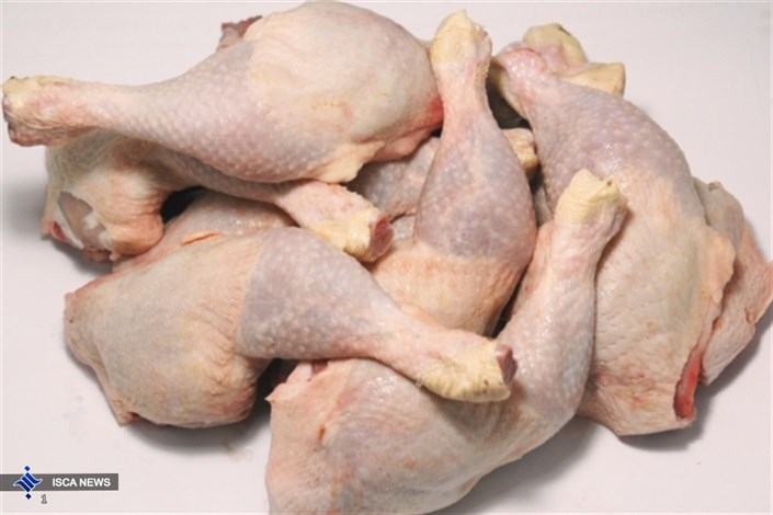 کاهش قیمت مرغ به ۵۱ هزار تومان 