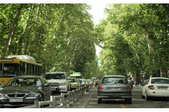  بیش از یک میلیون درخت در تهران شناسنامه‌دار شدند