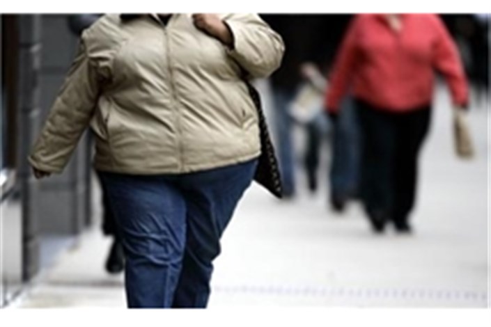 آمریکا درگیر با چاقی مفرط است