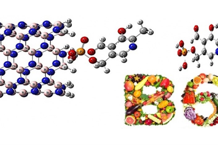 حفاظت ویتامین‌های گروه B از طریق روش محاسبات مکانیک کوانتومی