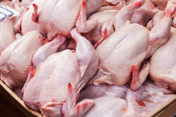 ۷۰درصد مرغ کشور به قیمت ۱۵۵۰۰ فروخته می‌شود 